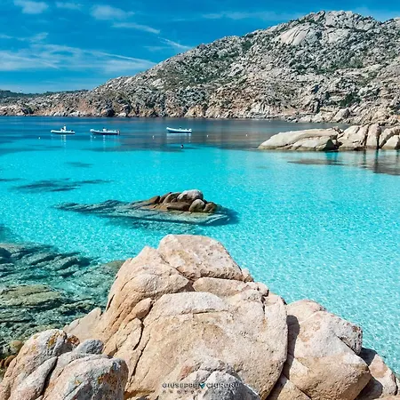 L'isola Incantata *
